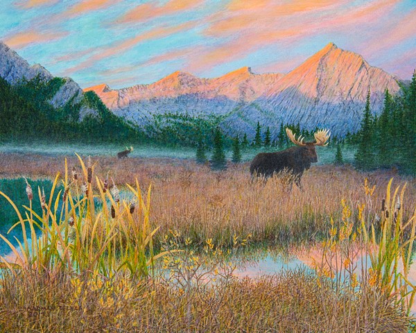 Moose painting, Elk Lakes Provincial Park paintings, Wildlife paintings, landscape paintings, Canadian Rocky Mountains paintings 