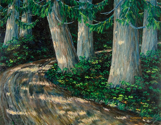 A painting of the Old Growth Trail beside the road to Island Lake near Fernie, B.C., showing the ancient Western Red Cedar trees which are about 800 years old.