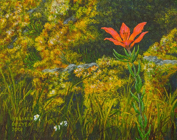 A painting of a wild orange-red lily growing on the slopes of the Rocky Mountains in B.C.