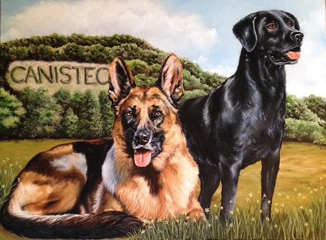shelter dogs, German shepherd, black lab, Labrador Retriever, Canisteo