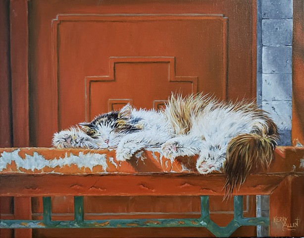 cat, sleeping cat, cat nap, oil painting, cats, realism