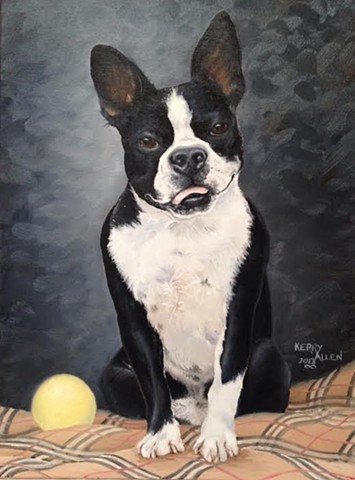 Boston Terrier, pet portrait, dog portrait, dog painting