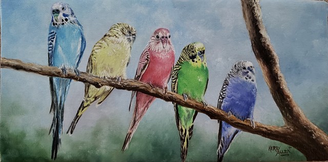 parakeets, birds, oil painting, wildlife, colorful birds