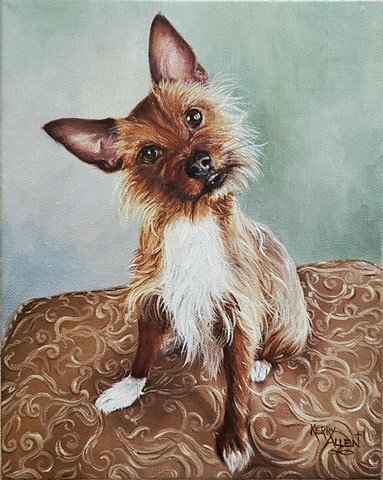 dog portrait, pet portrait, rescue dog, rat terrier, yorkie, animal art