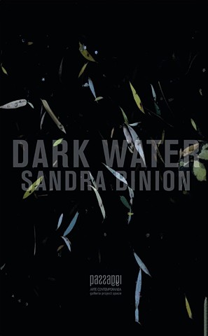 Dark Water, 2017