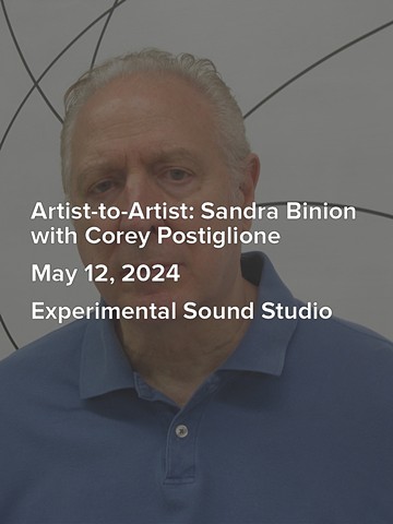 Artist-to-Artist: Sandra Binion in discussion with Corey Postiglione