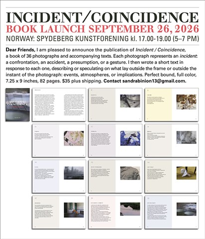 Incident / Coincidence - Book Launch