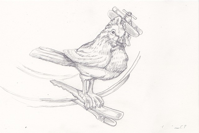 pencil on paper, Art, Fine Arts, Airplane and Bird