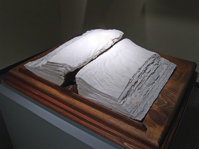 Porcelain book by Janet Williams