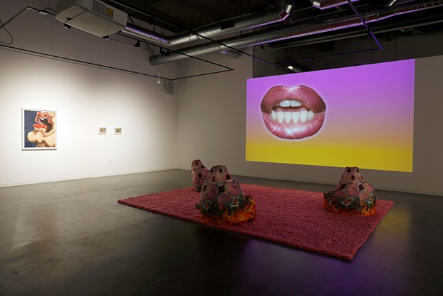 (007 Grad School Words 1 3:20 - 4:06) Who Do You Think You Are I Am installation view