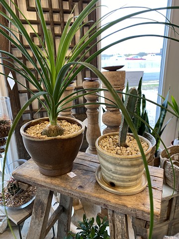 Plant Pots for Sale at Wildflowers Boutique Corpus Christi