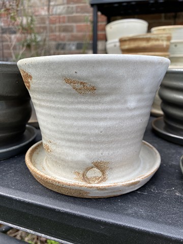 Plant Pot with attached drain plate