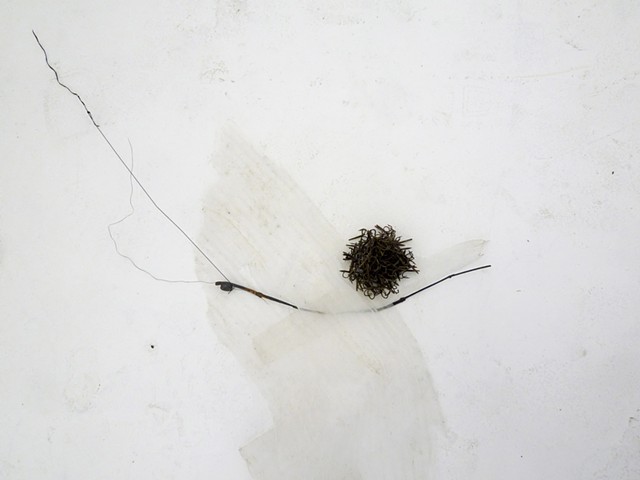 Dimitra Skandali, San Francisco Art Institute, Contemporary Art, seaweed, sea grass, San Francisco art, Pacific Ocean, Aegean Sea, Alyki, Paros, found objects