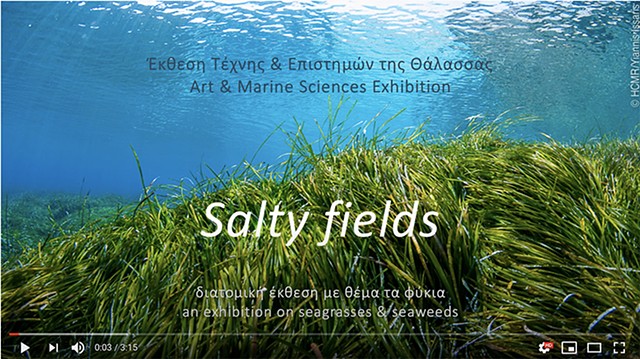 Salty Fields: A two-person show @Herakleidon Museum, in Athens, Greece, with Aggeliki Loi, curated by Nina Frangopoulou, Marine Biologist, with the contribution of Manolis Karterakis, Art Historian.