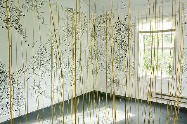 St Mary's College of Maryland, Maryland, water, water paths, Dimitra Skandali, Artist in Residence, the Artist House, site specific installation