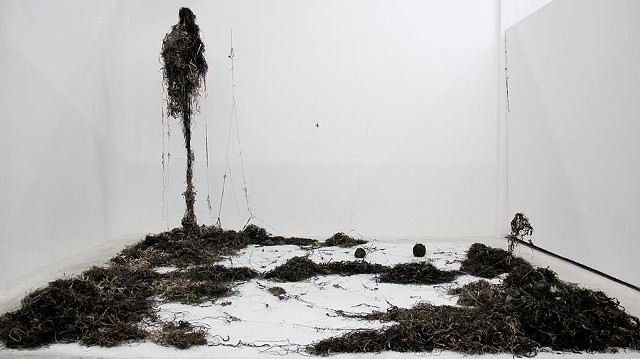 Dimitra Skandali, San Francisco Art Institute, Contemporary Art, seaweed, sea grass, San Francisco art, Pacific Ocean, Aegean Sea