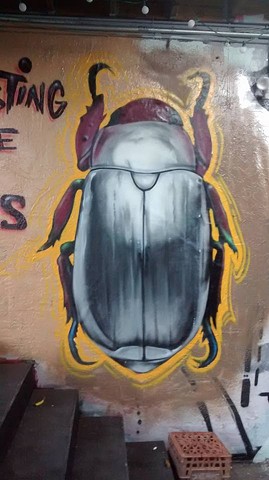 Scarabs done at Miami Basel 2015
