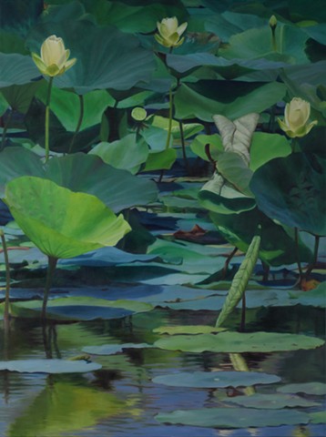 Lotus at Shelby Farms, 2012, Oil on canvas, 40" x 30"