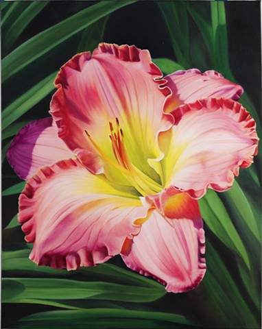 Day Lily, 2007, Oil on canvas, 30" x 24"