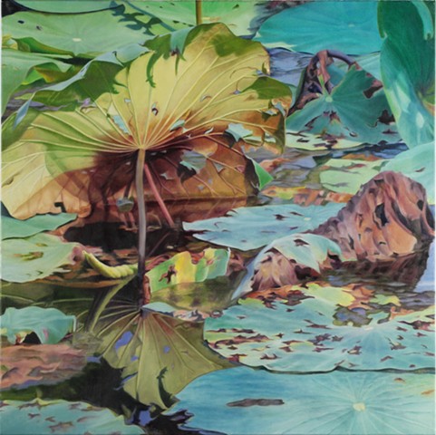 Lotus Leaf, 2012, Oil on canvas, 30" x 30"