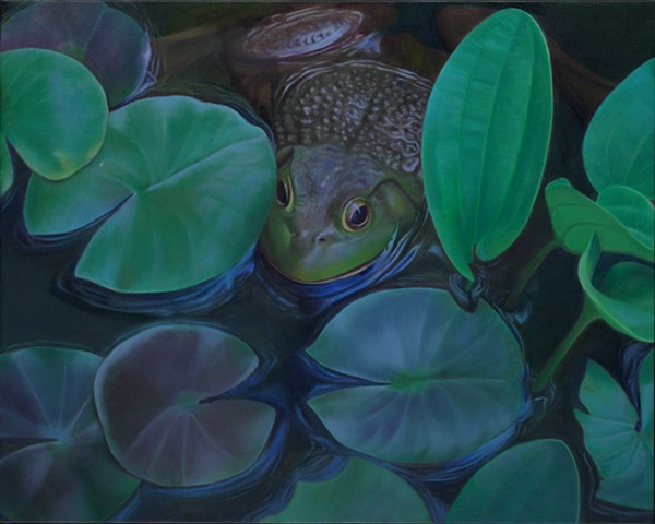 Frog and Water Lilies, 2011, Oil on canvas, 16" x 20"