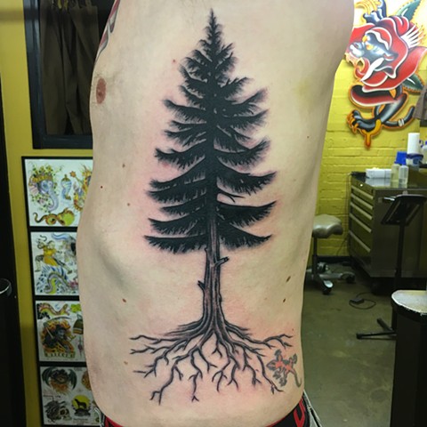evergreen tree tattoo, Tad Peyton tattoo, Jinx Proof Tattoo, Washington D.C. tattoo, Absolute Art Tattoo, Richmond Va tattoo