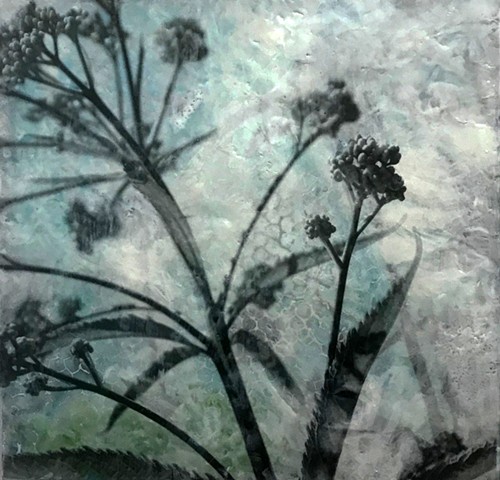 plants and flowers with black and white photography collage encaustic contemporary