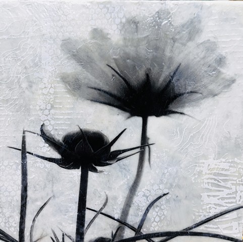 Encaustic and photography painting black and white mixed-media flowers wildflower contemporary