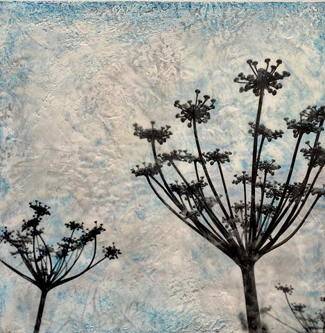 Queen Anne's lace original encaustic painting for sale with photo collage