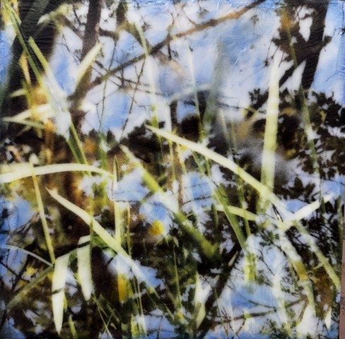Lake reflection of leaves and prairie grasses as a double-exposure mixed media nature photography