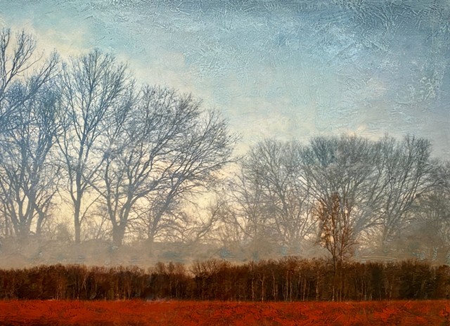 Contemporary landscape painting photography trees modern colorful