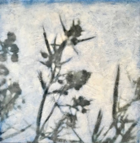 Encaustic photography and collage plants blue sky blur dreamy