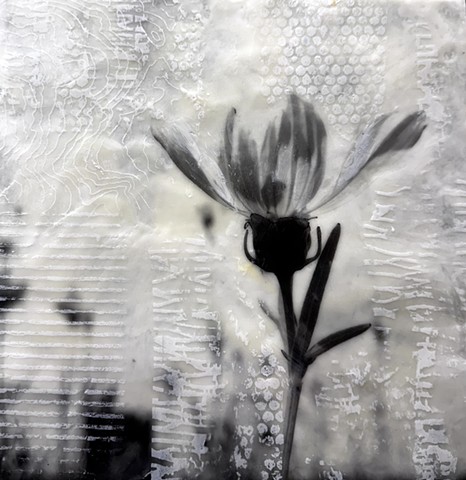 Botanical photograph floral flower contemporary encaustic painting black and white