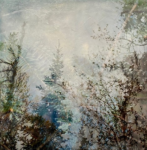 Pine trees and landscape encaustic painting triple exposure photograph