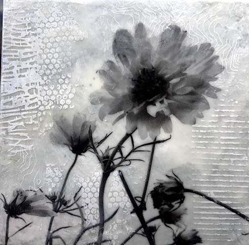 Black and white photography with encaustic paint floral botanical prints screen print pattern