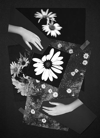 (Re)arranging no. 13