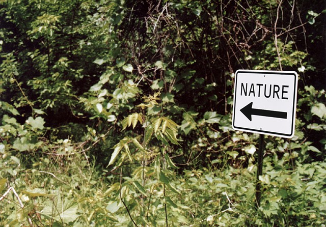 Nature Sign Jamie Pawlus
