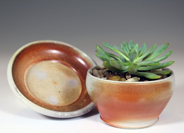Wood Fired Succulent Pot