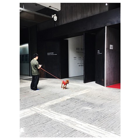 "OCT loft, Shenzhen" China Photographic series by Dani Green 2017
