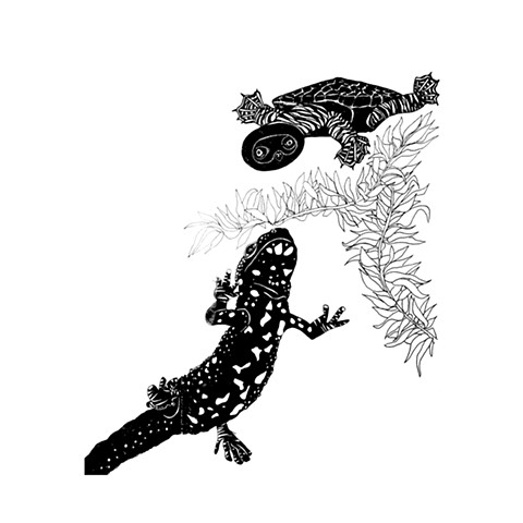 "Fired bellied newt and tortoise friends" - It's been ages since I've seen you series by Dani Green