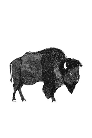 The Hunting Party Series, Bison. Illustration by Dani Green