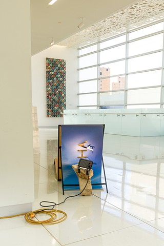 NARF 252 (AHA Moment)