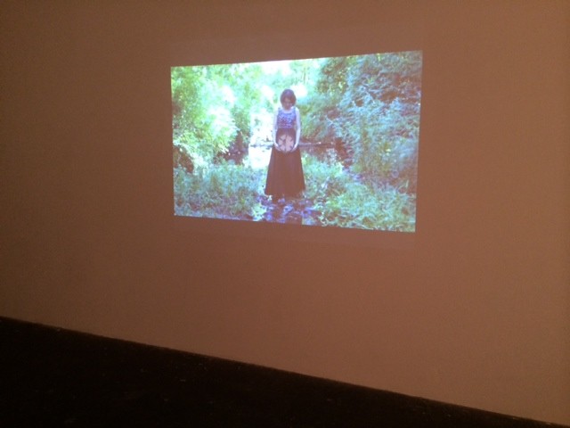Art and the Ephemeral, Performance Art Landscape, Cultural DC Flashpoint, Shelley Warren, Installation, Moving Images