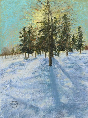 Minneapolis, winter, snow, landscape, Pine, Lake Hiawatha, shadows