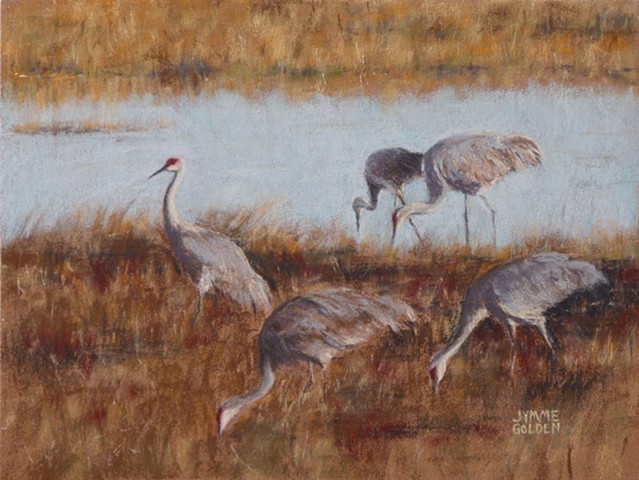 Sand Hill Cranes, Crex Meadows, Birds, Wildlife, Landscape