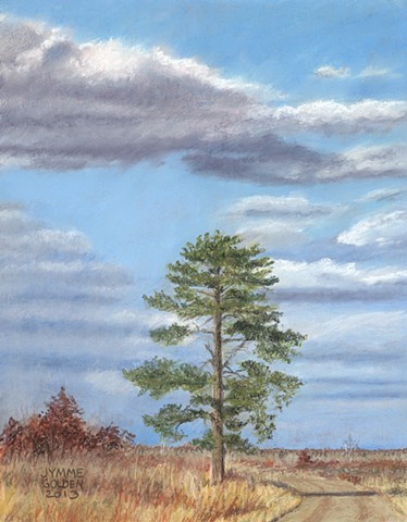 Crex Meadows Wildlife Area, Tree, Pine, White Pine, Path, Autumn, Fall, Wisconsin, Pastel Painting