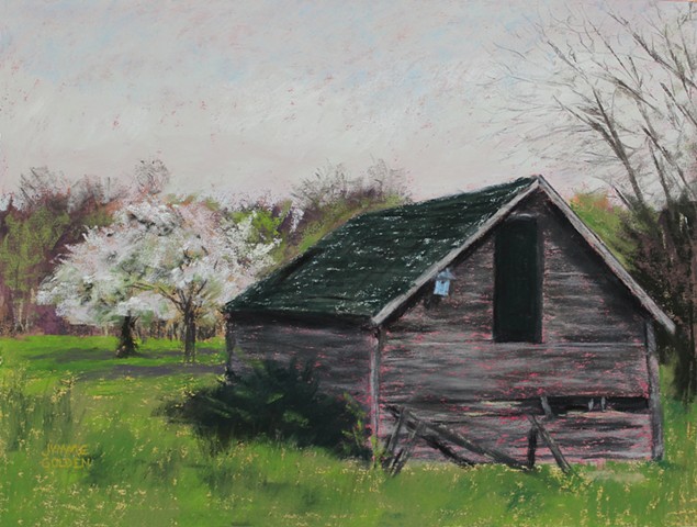 Old Building, Shed, Garden, Apple Blossoms, Spring, Minnesota