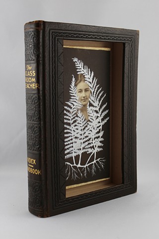 found book sculpture, found photograph, botanical drawing