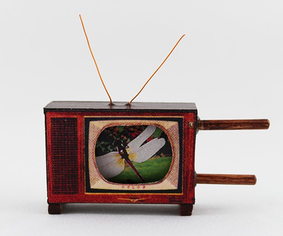Insect Dreams: a miniature scrolling television book by Lesley Patterson-Marx