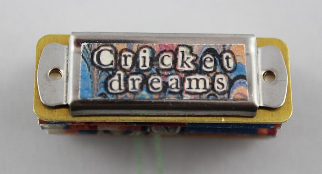 Cricket Dreams, a miniature book by Lesley Patterson-Marx